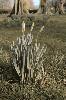 2005-03-06_16-36-40_0038.jpg