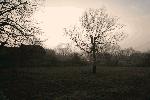 2005-03-20_18-42-32_0067.jpg