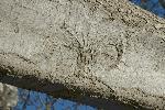 2005-03-25_16-34-46_0075.jpg