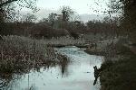 2005-03-25_18-48-48_0084.jpg