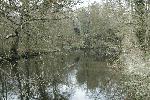 2005-03-28_14-42-14_0216.jpg